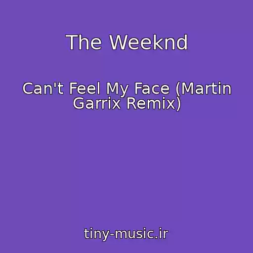 کاور آهنگ The Weeknd از Can't Feel My Face (Martin Garrix Remix)