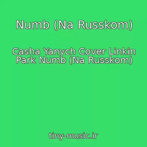 کاور آهنگ Numb (Na Russkom) از Casha Yanych Cover Linkin Park Numb (Na Russkom)