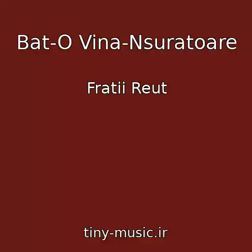 کاور آهنگ Bat-O Vina-Nsuratoare از Fratii Reut