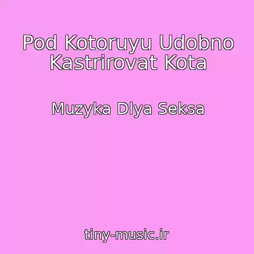 کاور آهنگ Pod Kotoruyu Udobno Kastrirovat Kota از Muzyka Dlya Seksa