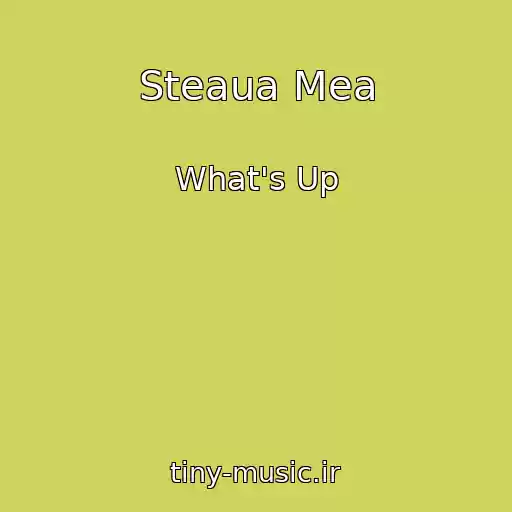کاور آهنگ Steaua Mea از What's Up
