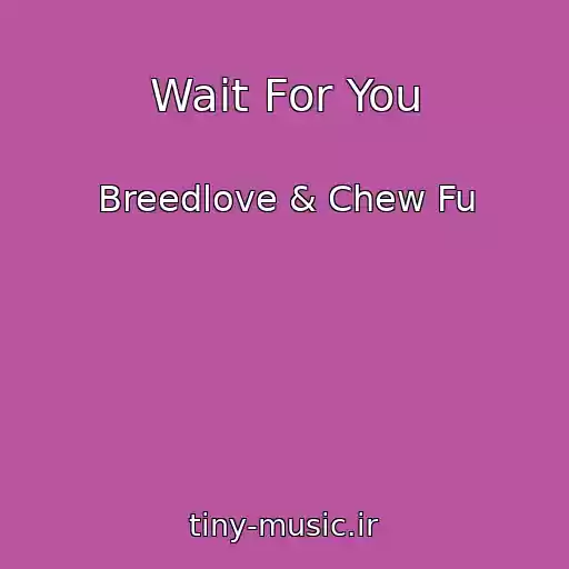 کاور آهنگ Wait For You از Breedlove & Chew Fu