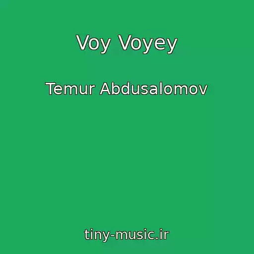 کاور آهنگ Voy Voyey از Temur Abdusalomov