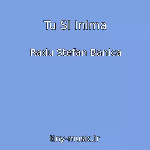 کاور آهنگ Tu Si Inima از Radu Stefan Banica