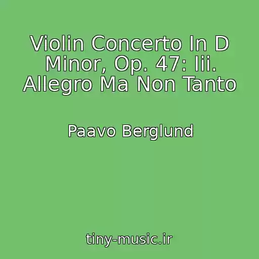 کاور آهنگ Violin Concerto In D Minor, Op. 47: Iii. Allegro Ma Non Tanto از Paavo Berglund