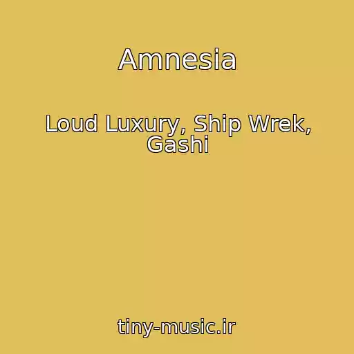 کاور آهنگ Amnesia از Loud Luxury, Ship Wrek, Gashi