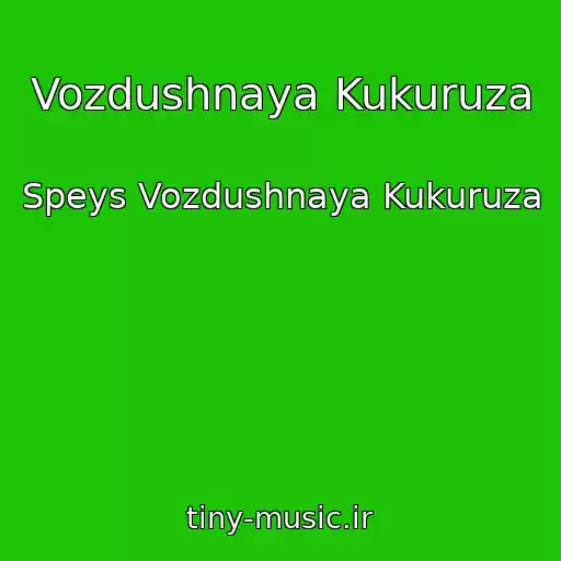 کاور آهنگ Vozdushnaya Kukuruza از Speys Vozdushnaya Kukuruza