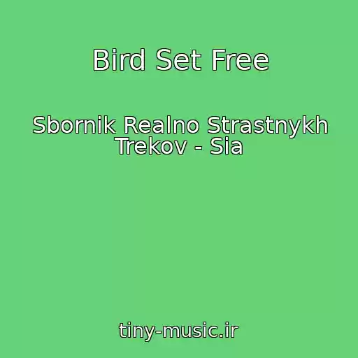 کاور آهنگ Bird Set Free از Sbornik Realno Strastnykh Trekov - Sia