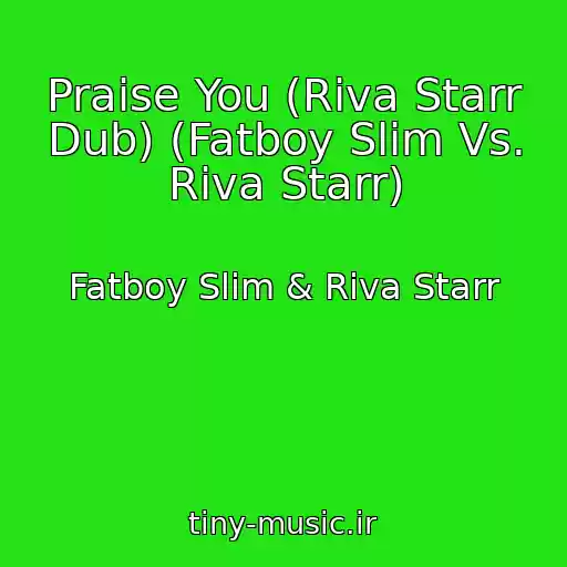 کاور آهنگ Praise You (Riva Starr Dub) (Fatboy Slim Vs. Riva Starr) از Fatboy Slim & Riva Starr