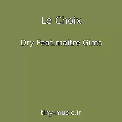 کاور آهنگ Le Choix از Dry Feat.maitre Gims