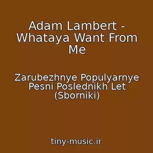 کاور آهنگ Adam Lambert - Whataya Want From Me از Zarubezhnye Populyarnye Pesni Poslednikh Let (Sborniki)