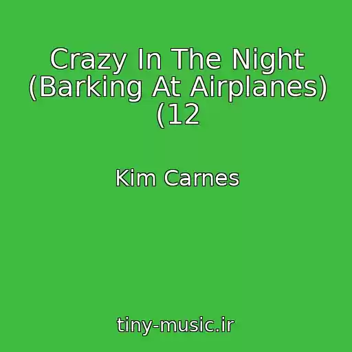 کاور آهنگ Crazy In The Night (Barking At Airplanes) (12 از Kim Carnes