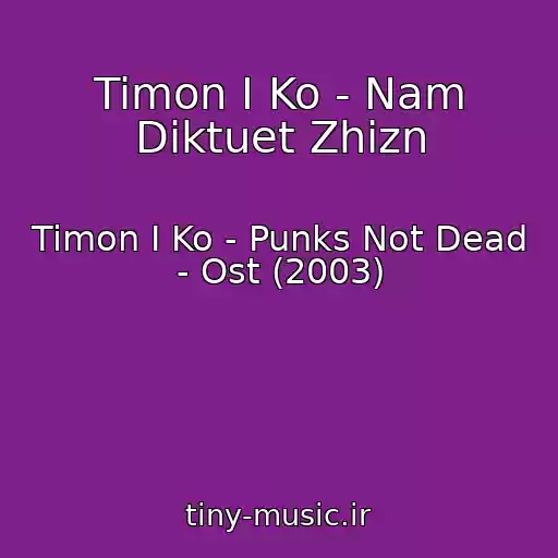 کاور آهنگ Timon I Ko - Nam Diktuet Zhizn از Timon I Ko - Punks Not Dead - Ost (2003)