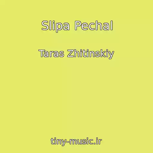 کاور آهنگ Slіpa Pechal از Taras Zhitinskiy