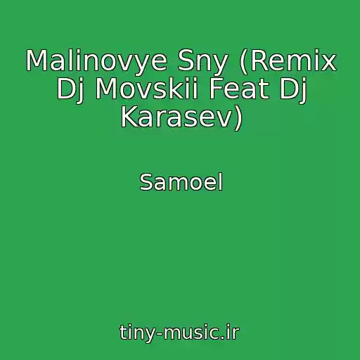 کاور آهنگ Malinovye Sny (Remix Dj Movskii Feat Dj Karasev) از Samoel