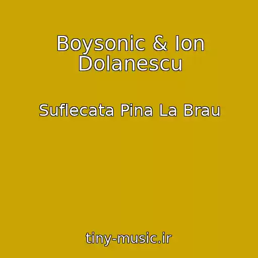 کاور آهنگ Boysonic & Ion Dolanescu از Suflecata Pina La Brau