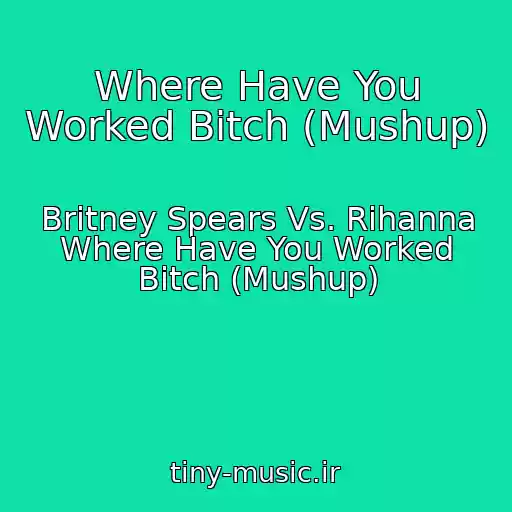 کاور آهنگ Where Have You Worked Bitch (Mushup) از Britney Spears Vs. Rihanna Where Have You Worked Bitch (Mushup)