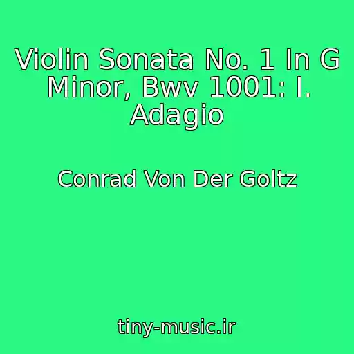 کاور آهنگ Violin Sonata No. 1 In G Minor, Bwv 1001: I. Adagio از Conrad Von Der Goltz