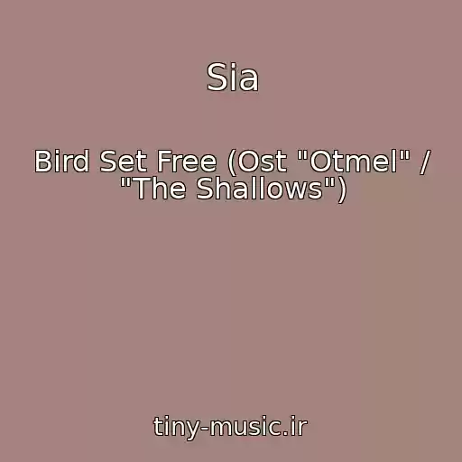 کاور آهنگ Sia از Bird Set Free (Ost "Otmel" / "The Shallows")