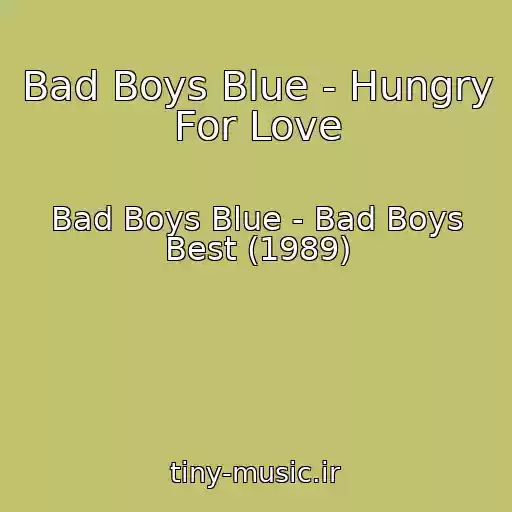 کاور آهنگ Bad Boys Blue - Hungry For Love از Bad Boys Blue - Bad Boys Best (1989)