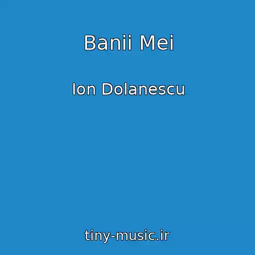 کاور آهنگ Banii Mei از Ion Dolanescu