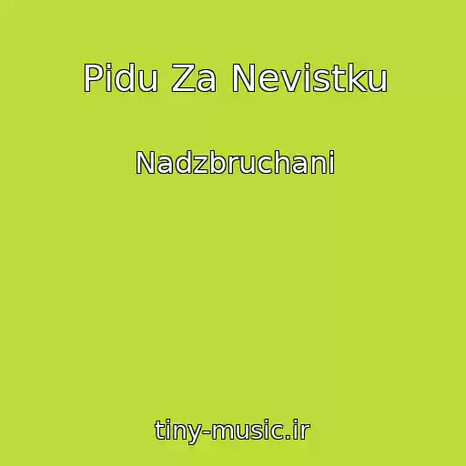کاور آهنگ Pіdu Za Nevіstku از Nadzbruchani