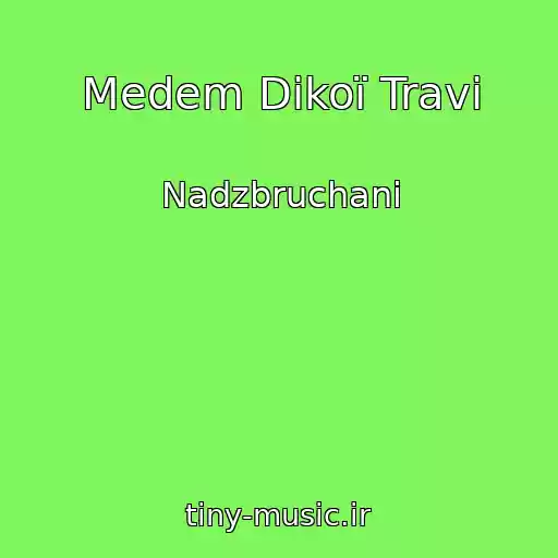 کاور آهنگ Medem Dikoї Travi از Nadzbruchani