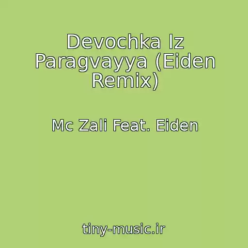 کاور آهنگ Devochka Iz Paragvayya (Eiden Remix) از Mc Zali Feat. Eiden