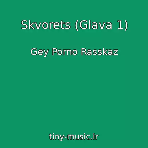 کاور آهنگ Skvorets (Glava 1) از Gey Porno Rasskaz
