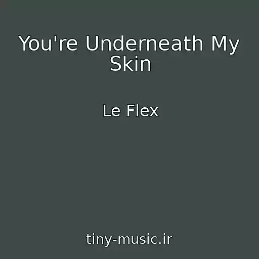 کاور آهنگ You're Underneath My Skin از Le Flex