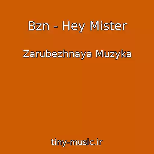 کاور آهنگ Bzn - Hey Mister از Zarubezhnaya Muzyka