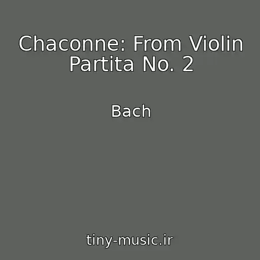 کاور آهنگ Chaconne: From Violin Partita No. 2 از Bach