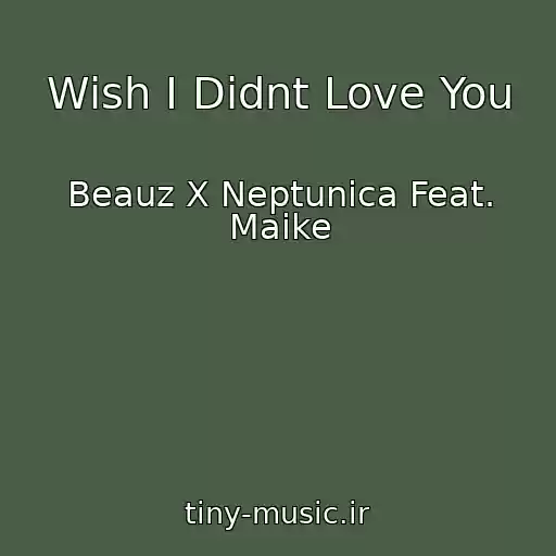کاور آهنگ Wish I Didnt Love You از Beauz X Neptunica Feat. Maike