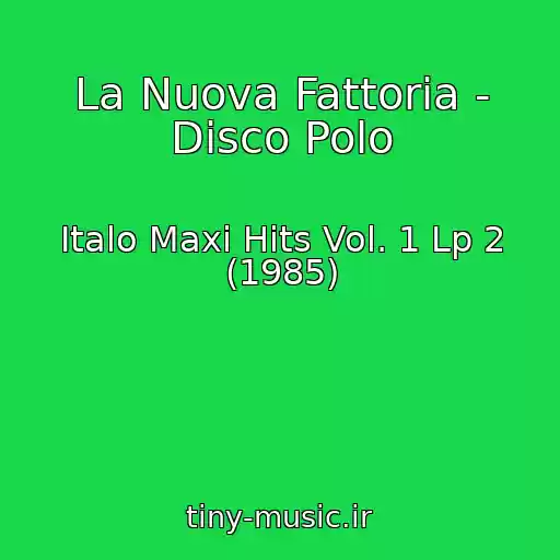 کاور آهنگ La Nuova Fattoria - Disco Polo از Italo Maxi Hits Vol. 1 Lp 2 (1985)
