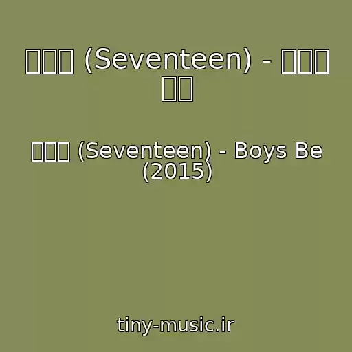 کاور آهنگ 세븐틴 (Seventeen) - 어른이 되면 از 세븐틴 (Seventeen) - Boys Be (2015)