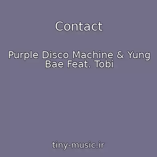 کاور آهنگ Contact از Purple Disco Machine & Yung Bae Feat. Tobi