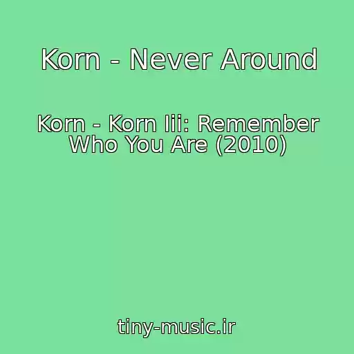 کاور آهنگ Korn - Never Around از Korn - Korn Iii: Remember Who You Are (2010)