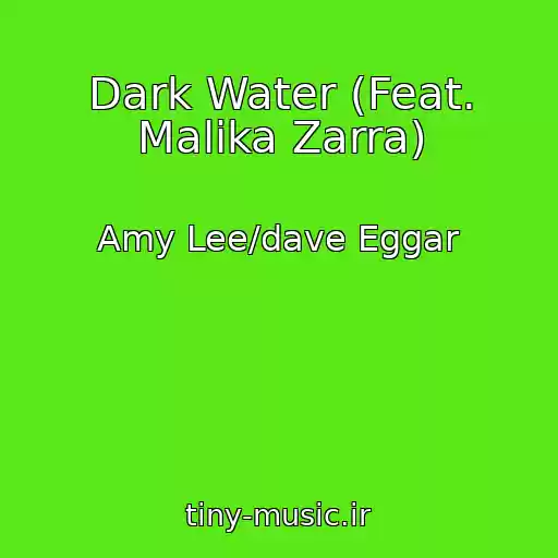 کاور آهنگ Dark Water (Feat. Malika Zarra) از Amy Lee/dave Eggar