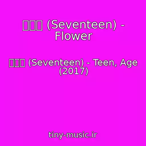 کاور آهنگ 세븐틴 (Seventeen) - Flower از 세븐틴 (Seventeen) - Teen, Age (2017)