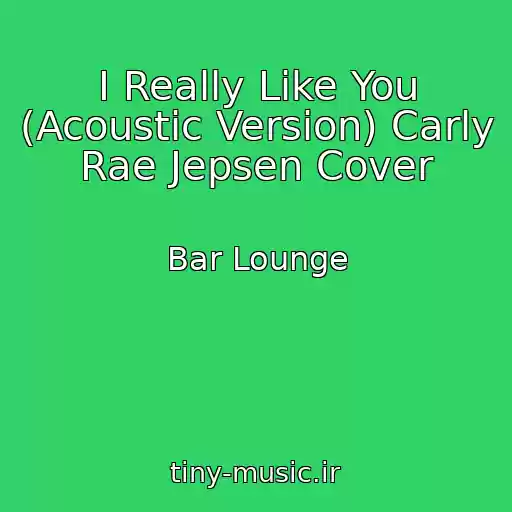 کاور آهنگ I Really Like You (Acoustic Version) Carly Rae Jepsen Cover از Bar Lounge