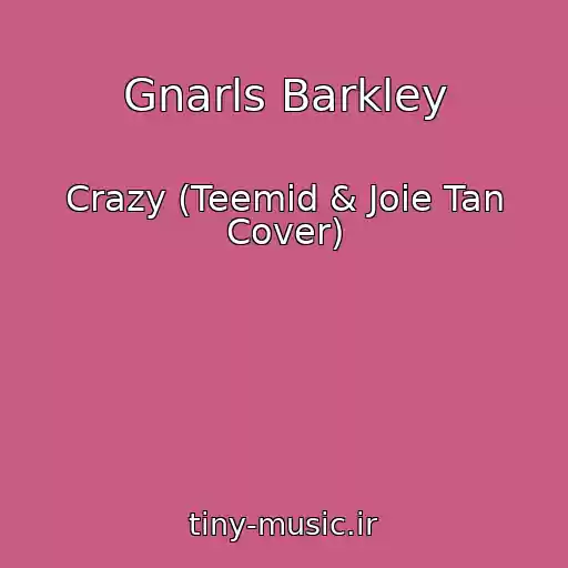 کاور آهنگ Gnarls Barkley از Crazy (Teemid & Joie Tan Cover)