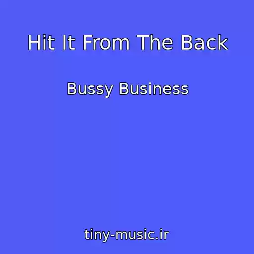 کاور آهنگ Hit It From The Back از Bussy Business