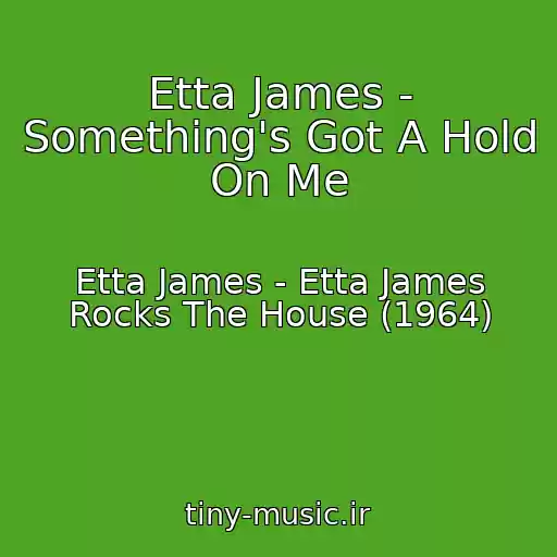 کاور آهنگ Etta James - Something's Got A Hold On Me از Etta James - Etta James Rocks The House (1964)