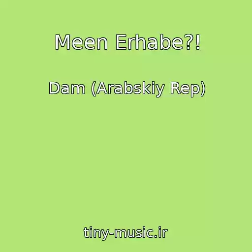 کاور آهنگ Meen Erhabe?! از Dam (Arabskiy Rep)