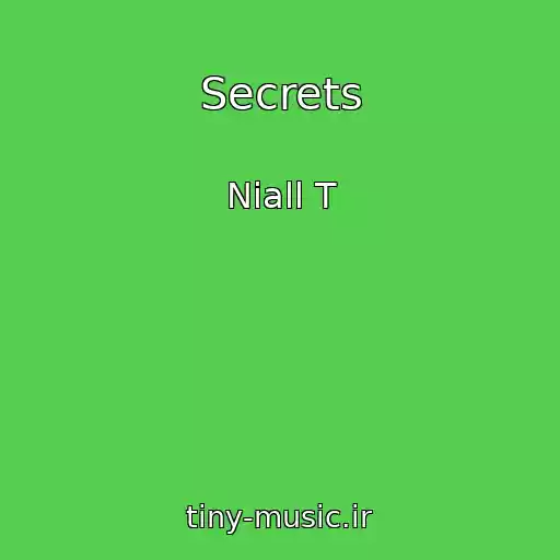 کاور آهنگ Secrets از Niall T