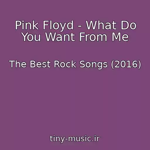 کاور آهنگ Pink Floyd - What Do You Want From Me از The Best Rock Songs (2016)