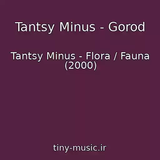 کاور آهنگ Tantsy Minus - Gorod از Tantsy Minus - Flora / Fauna (2000)