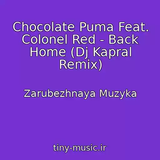 کاور آهنگ Chocolate Puma Feat. Colonel Red - Back Home (Dj Kapral Remix) از Zarubezhnaya Muzyka