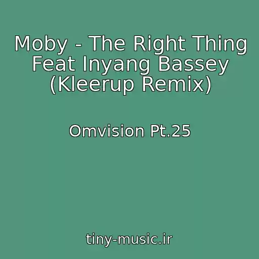کاور آهنگ Moby - The Right Thing Feat Inyang Bassey (Kleerup Remix) از Omvision Pt.25