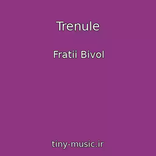 کاور آهنگ Trenule از Fratii Bivol